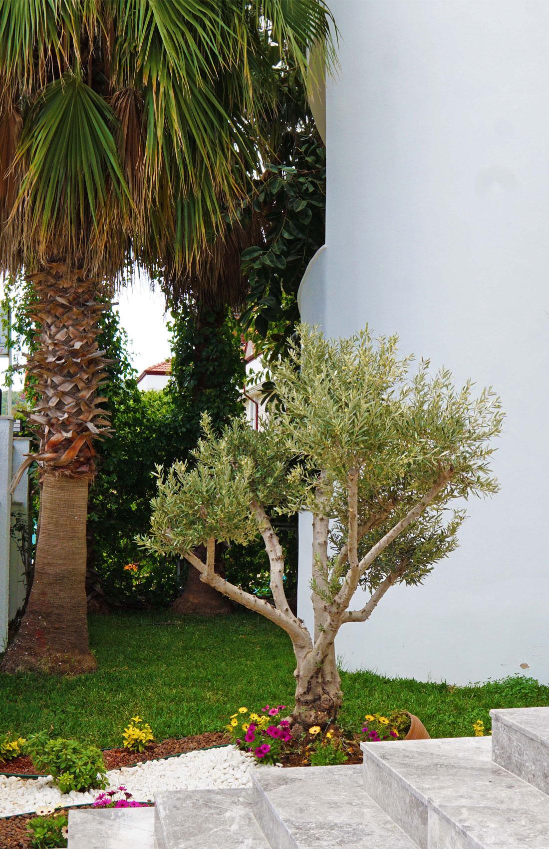 Elamir Felizya Hotel Kemer Exterior foto